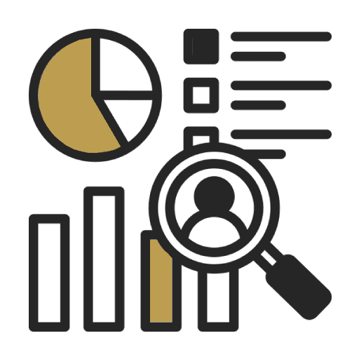 web development-analysis icon